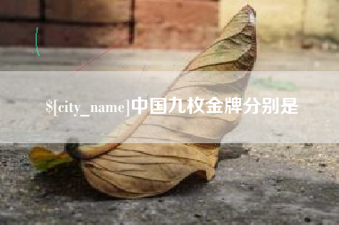 龙岩中国九枚金牌分别是