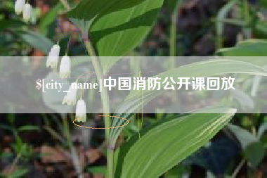 龙岩中国消防公开课回放