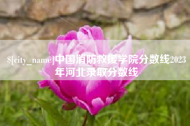 龙岩中国消防救援学院分数线2023年河北录取分数线