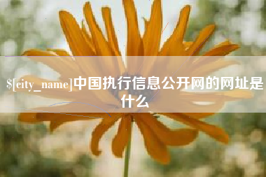 龙岩中国执行信息公开网的网址是什么