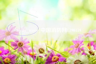 龙岩中国消防网1190119