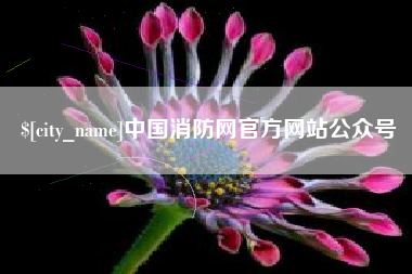 龙岩中国消防网官方网站公众号