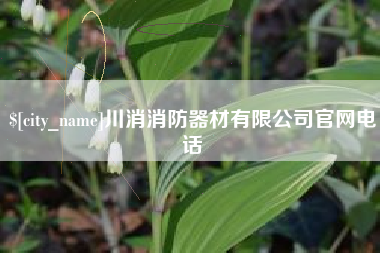 龙岩川消消防器材有限公司官网电话