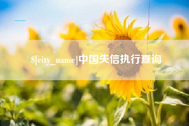 龙岩中国失信执行查询