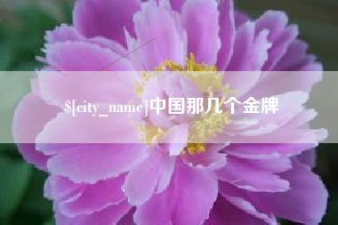 龙岩中国那几个金牌