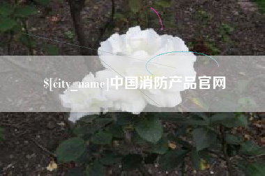 龙岩中国消防产品官网