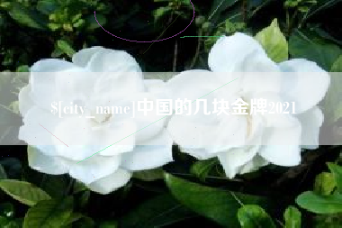 龙岩中国的几块金牌2021