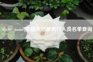 龙岩中国失信被执行人员名单查询