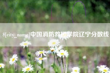 龙岩中国消防救援学院辽宁分数线