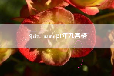 龙岩21年九宫格
