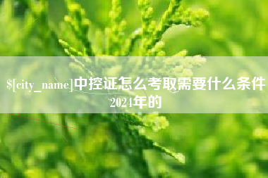 龙岩中控证怎么考取需要什么条件2024年的