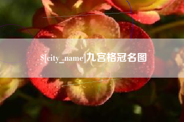 龙岩九宫格冠名图