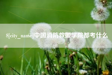 龙岩中国消防救援学院都考什么