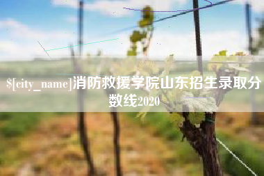 龙岩消防救援学院山东招生录取分数线2020