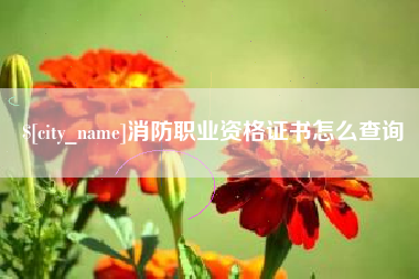 龙岩消防职业资格证书怎么查询