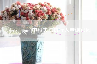 龙岩中国失信执行人查询官网