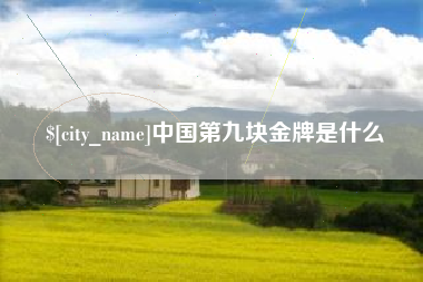 龙岩中国第九块金牌是什么
