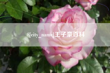 龙岩王子豪百科