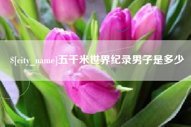 龙岩五千米世界纪录男子是多少
