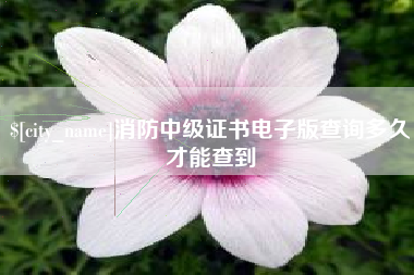 龙岩消防中级证书电子版查询多久才能查到