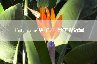 龙岩男子5000米世界冠军