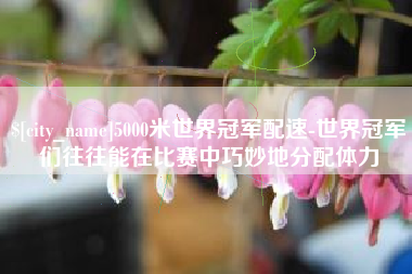龙岩5000米世界冠军配速-世界冠军们往往能在比赛中巧妙地分配体力