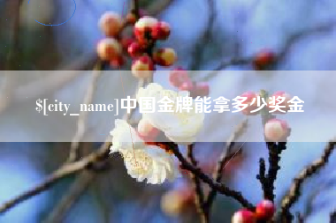 龙岩中国金牌能拿多少奖金