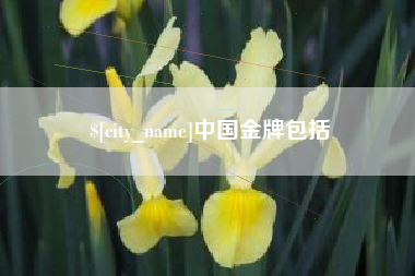 龙岩中国金牌包括
