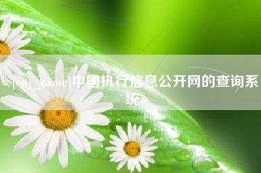龙岩中国执行信息公开网的查询系统