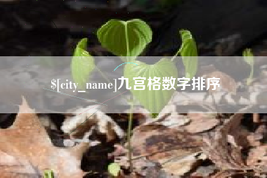 龙岩九宫格数字排序