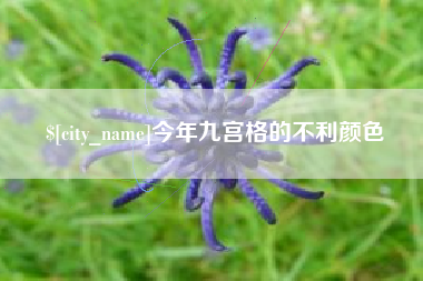 龙岩今年九宫格的不利颜色