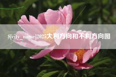龙岩2025大利方向和不利方向图