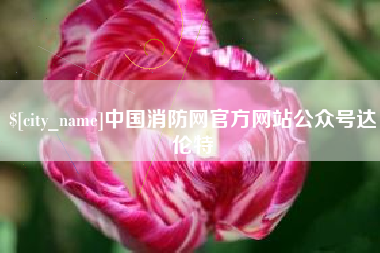 龙岩中国消防网官方网站公众号达伦特