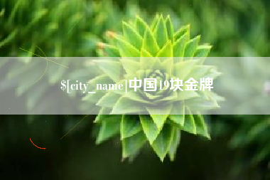 龙岩中国19块金牌