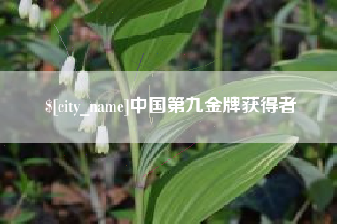 龙岩中国第九金牌获得者
