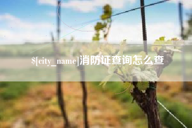 龙岩消防证查询怎么查