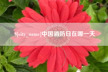 龙岩中国消防日在哪一天
