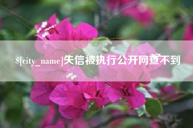 龙岩失信被执行公开网查不到