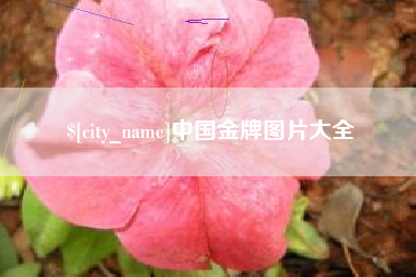 龙岩中国金牌图片大全