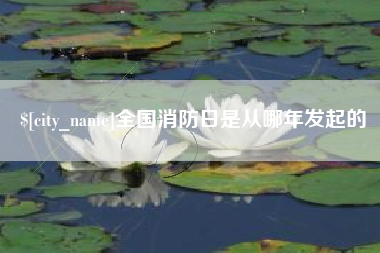 龙岩全国消防日是从哪年发起的