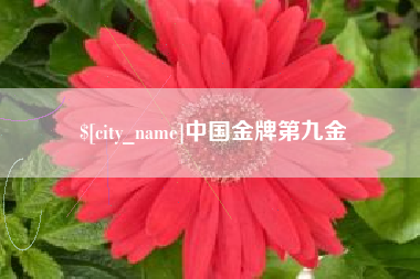 龙岩中国金牌第九金