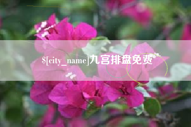 龙岩九宫排盘免费