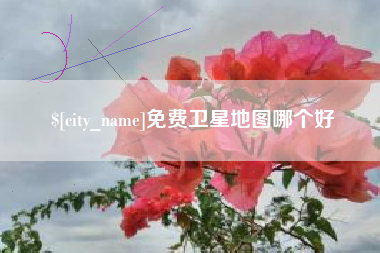 龙岩免费卫星地图哪个好