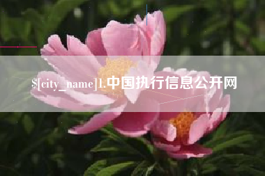 龙岩1.中国执行信息公开网