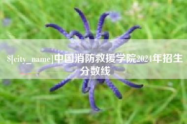 龙岩中国消防救援学院2024年招生分数线