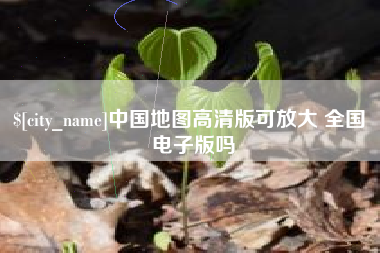 龙岩中国地图高清版可放大 全国 电子版吗