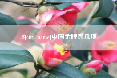 龙岩中国金牌哪几项