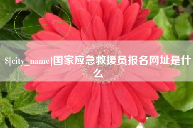 龙岩国家应急救援员报名网址是什么