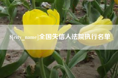 龙岩全国失信人法院执行名单
