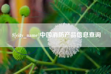 龙岩中国消防产品信息查询